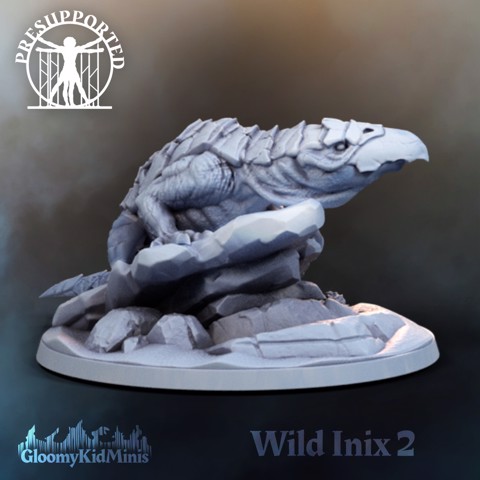 Image of Wild Inix 2