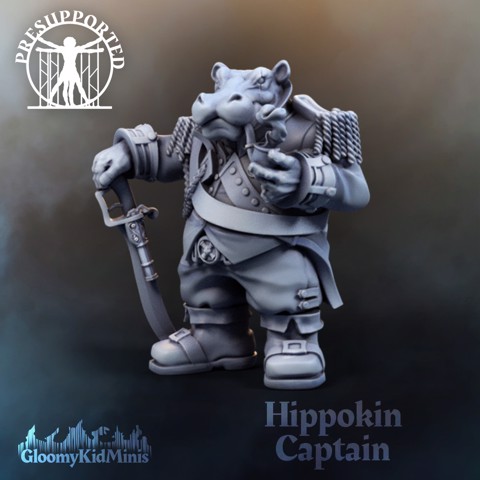 Image of Hippokin Captain