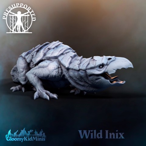 Image of Wild Inix