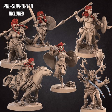 Image of Amazons Pack