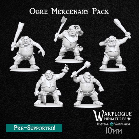 Image of 10mm Scale Ogre Mercenary Pack