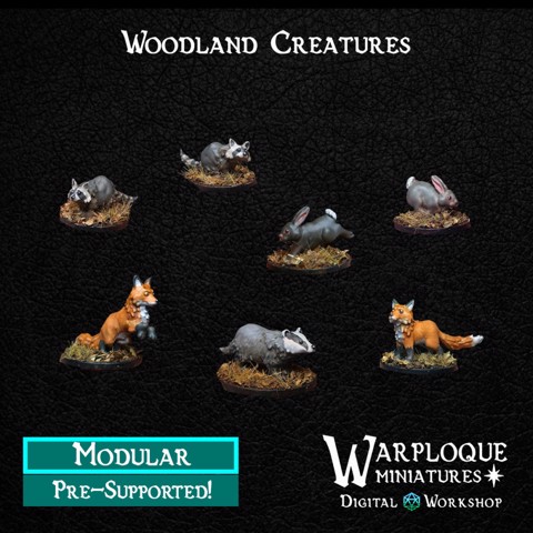 Image of Woodland Creatures Kit