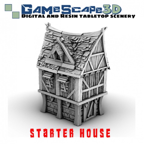 Image of 2 Story Starter House
