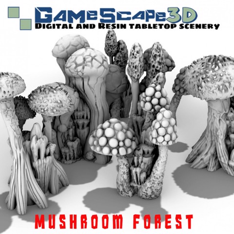 Image of Mushroom Forest