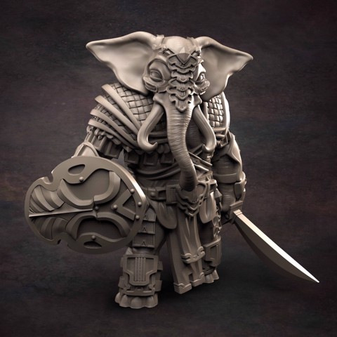 Image of Loxodon Fighter