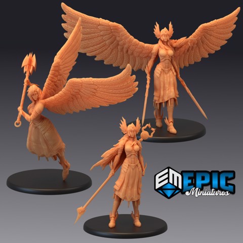 Image of Valkyrie Set / Norse Female Warrior Angle