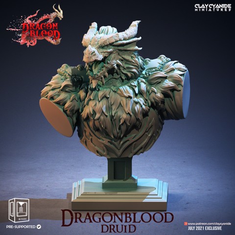 Image of Dragonblood Druid Bust