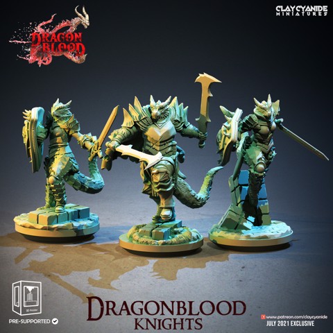 Image of Dragonblood Knights