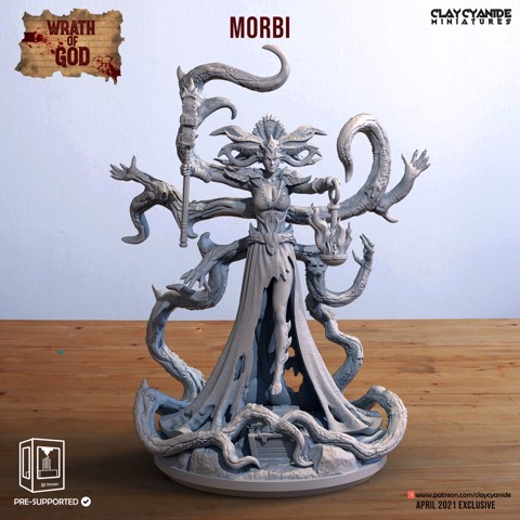 Image of Morbi