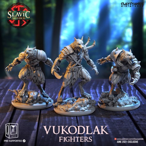 Image of Vukodlak Fighters