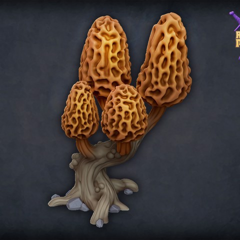 Image of Morel mushroom tree