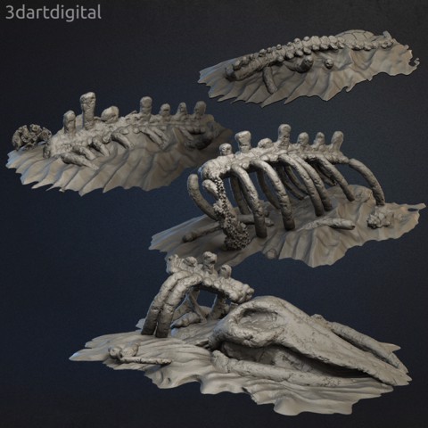 Image of The Sea King's Bones