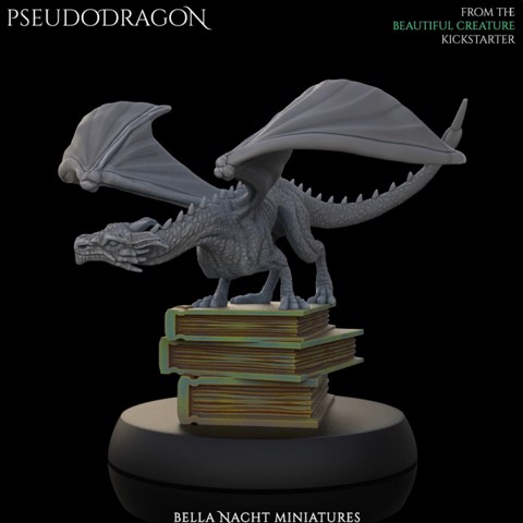Image of Pseudodragon