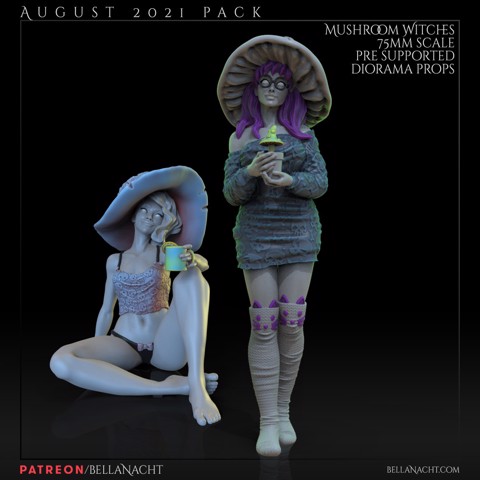 Image of August 2021 - Patreon - Mushroom Witches Diorama