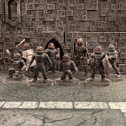 Image of Wayfarer Tactics: New Dominion Enforcers