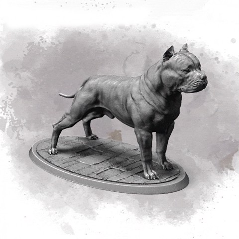 Image of American Bully 75&32mm Presupported