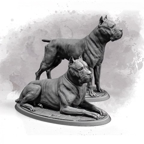 Image of 2 x Cane Corso 75&32 Presupported