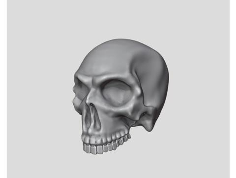 Image of Human Skull - printable