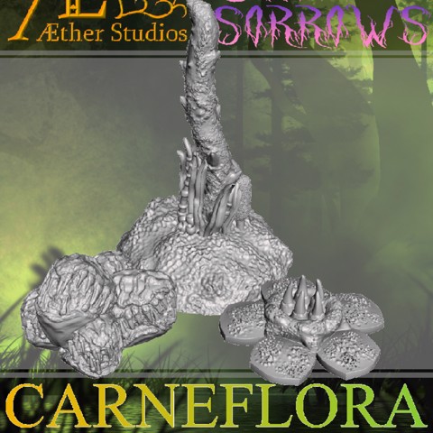 Image of Swamp of Sorrows – Carneflora