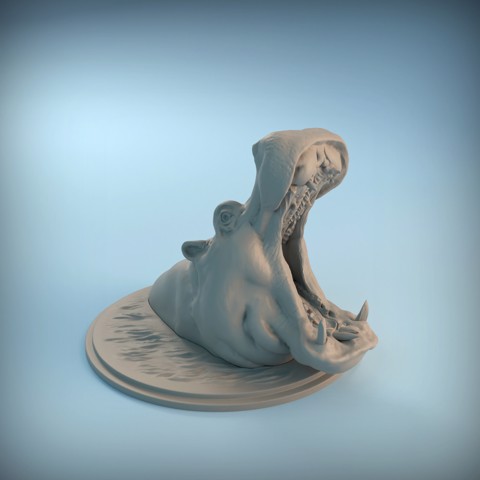 Image of Hippo Head