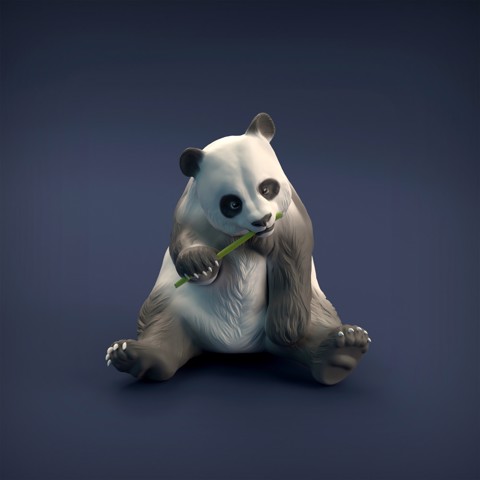 Image of Giant Panda