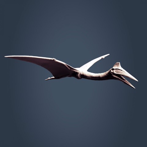 Image of Flying Quetzalcoatlus