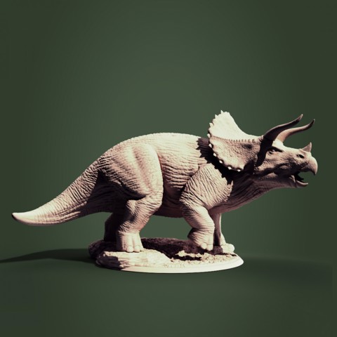Image of Triceratops