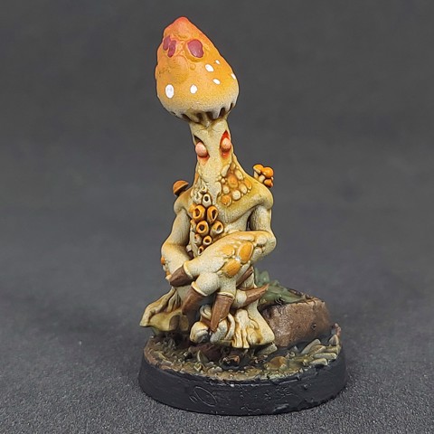 Image of Shroomfolk A - 17, Pre-Supported