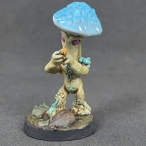 Image of Shroomfolk A - 20, Pre-Supported