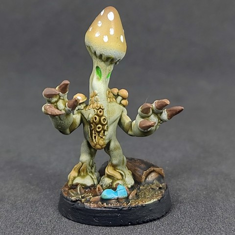 Image of Shroomfolk A - 18, Pre-Supported