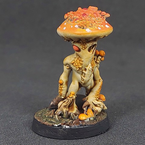 Image of Shroomfolk A - 16, Pre-Supported