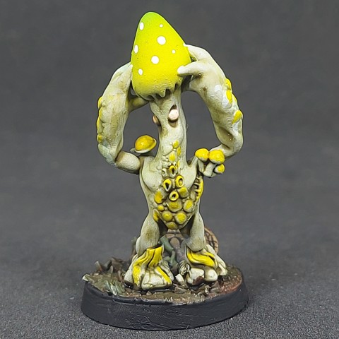 Image of Shroomfolk A - 19, Pre-Supported