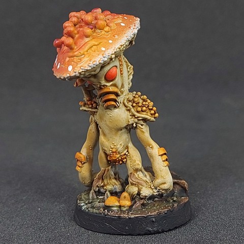 Image of Shroomfolk A - 05, Pre-Supported