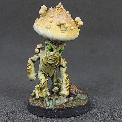 Image of Shroomfolk A - 02, Pre-Supported