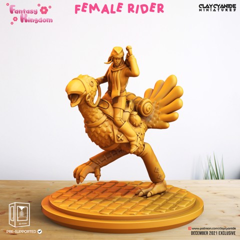Image of Female Rider