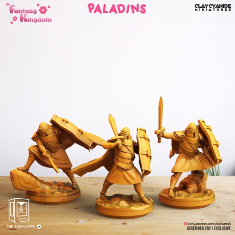 Image of Paladins