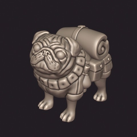 Image of Pack Pug