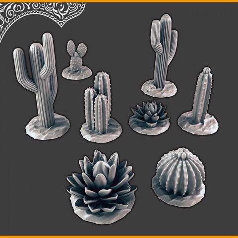 Image of Desert plants / cactus [Support-free]