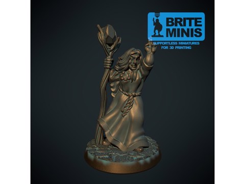 Image of Female druid 28mm (Supportless, FDM friendly)