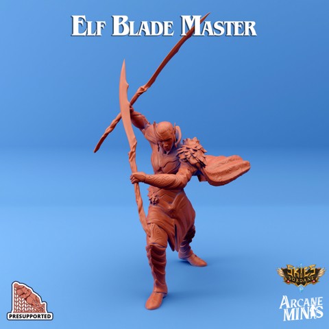 Image of Elf Blade Master