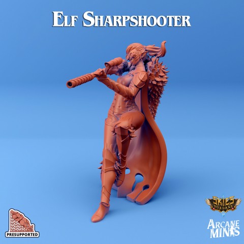 Image of Elf Sharpshooter