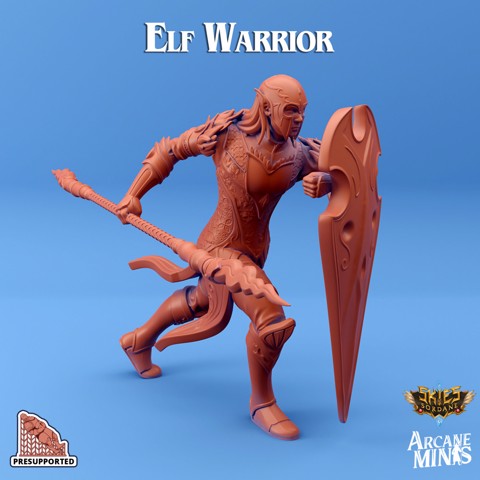 Image of Elf Warrior