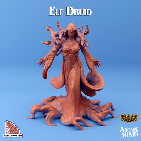 Image of Elf Druid