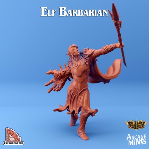 Image of Elf Barbarian