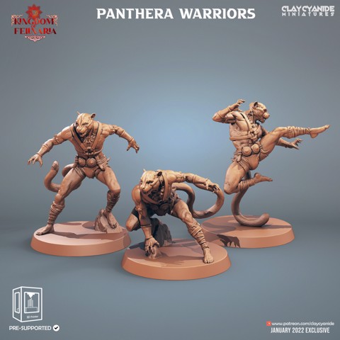 Image of Panthera Warriors
