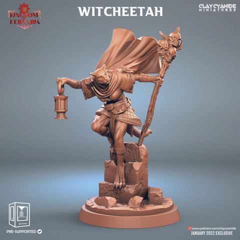 Image of Witcheetah
