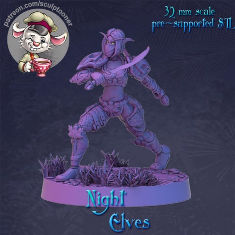 Image of Night elf girl attack armored female