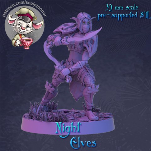Image of Night elf calm armored female