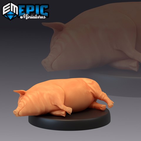 Image of Farm Animal Pig Lying