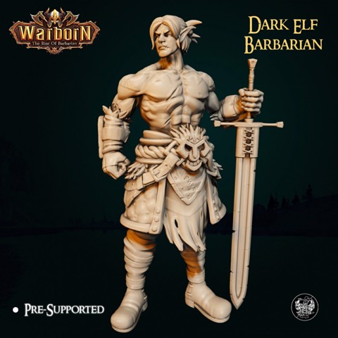 Image of Dark Elf Barbarian